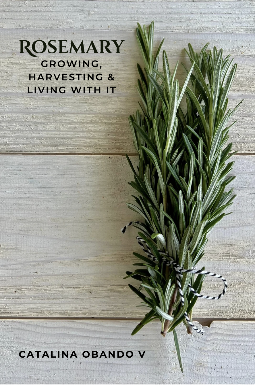 Rosemary — Growing, Harvesting & Living with It, by Catalina Obando V.