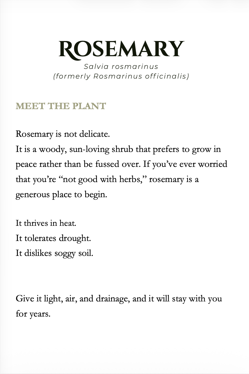 A text page — Meet the Plant