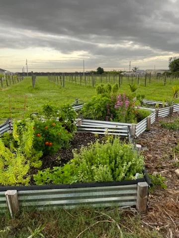 The farm