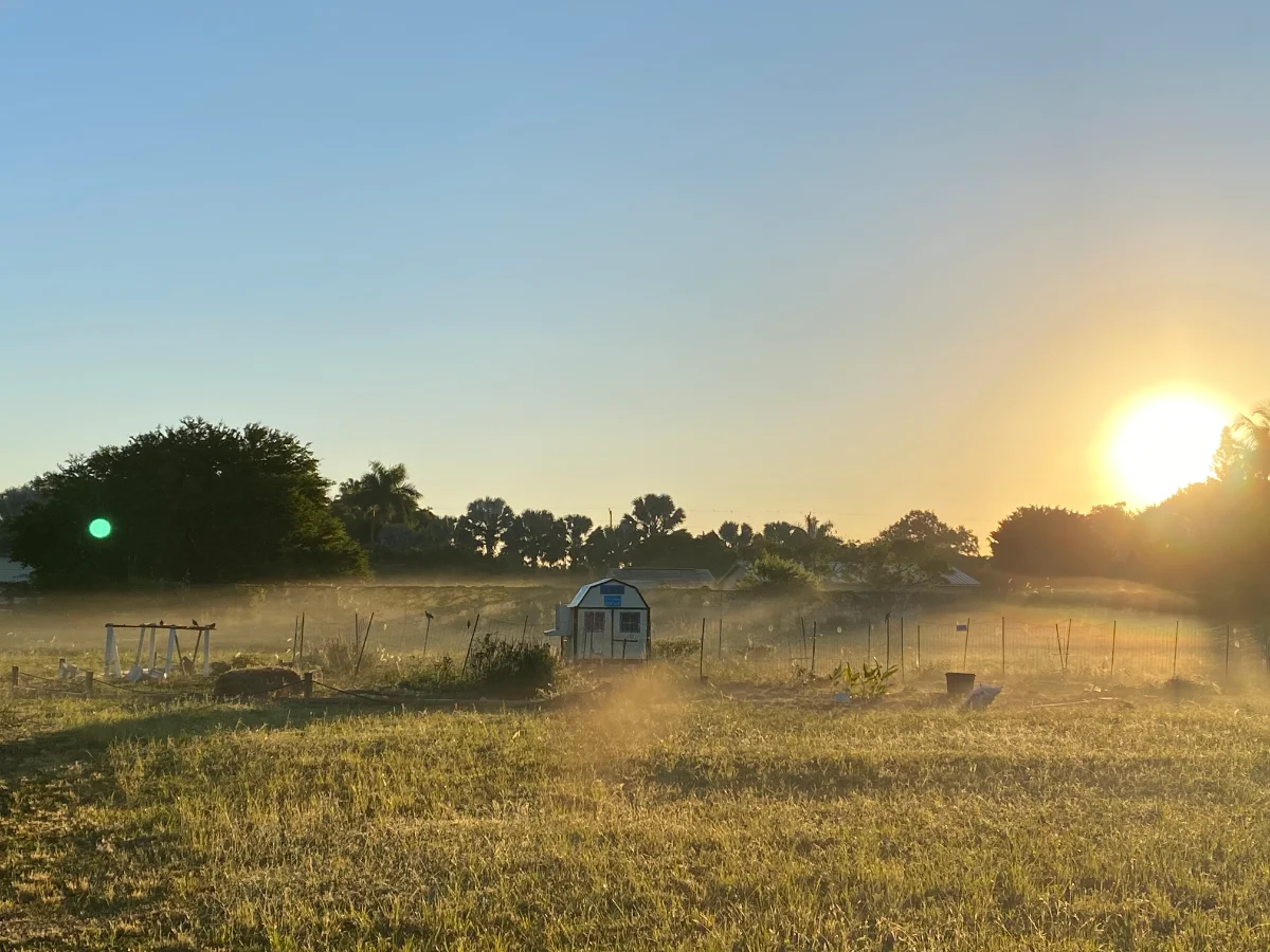 Spring in a Box — the farm from above