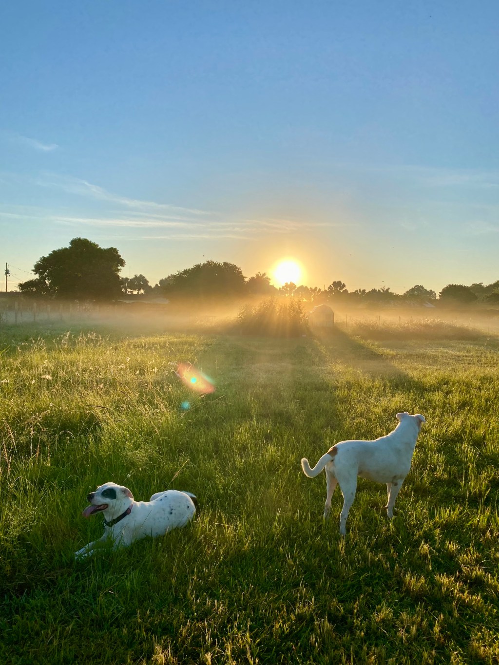 Parenting Without Being a&nbsp;Parent