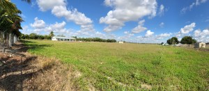 Wide view of an open grassy field and a small house under a blue sky with clouds in South Florida